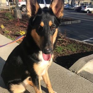 Meet your Posher, Katelynn